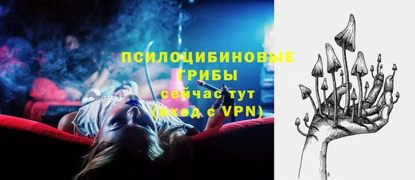 прущие грибы Абдулино