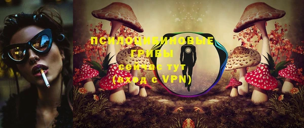 прущие грибы Абдулино
