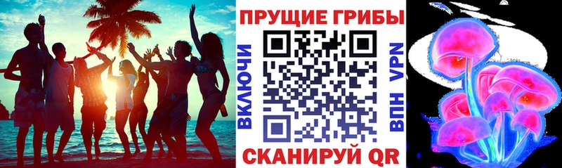 hydra как зайти  Кировград  Псилоцибиновые грибы Cubensis  где найти  